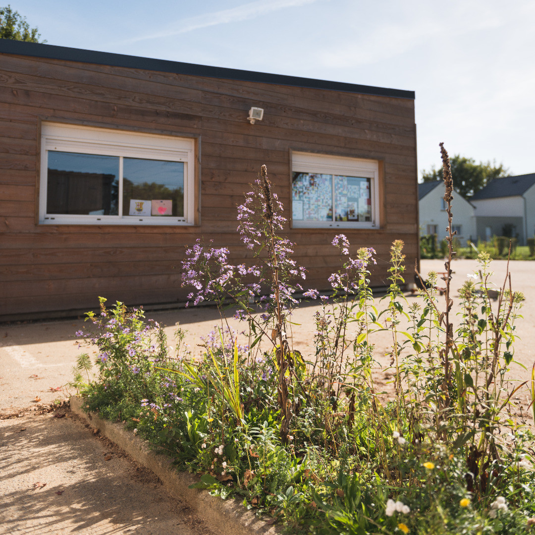 skol-diwan-baod__RLP8797