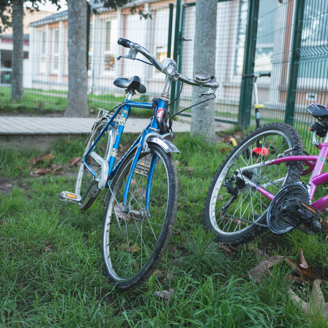 skol-diwan-rianteg__RLP8684