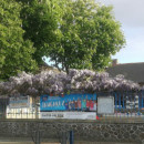 diwan-sant-brieg-20230318_bandeau