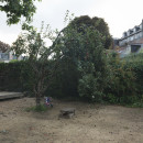 skol-diwan-kastellin__RLP1895