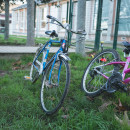 skol-diwan-rianteg__RLP8684