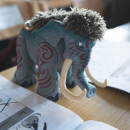 skol-diwan-rianteg__RLP8699