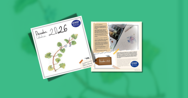 Deiziadur__Bandell_lechienn_Deiziadur_Diwan_2026